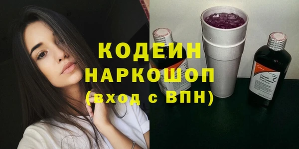 гашик Анжеро-Судженск