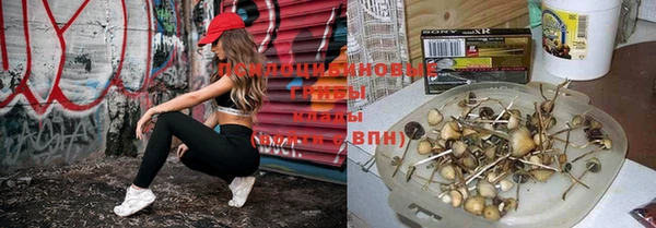 прущий лед Алексеевка