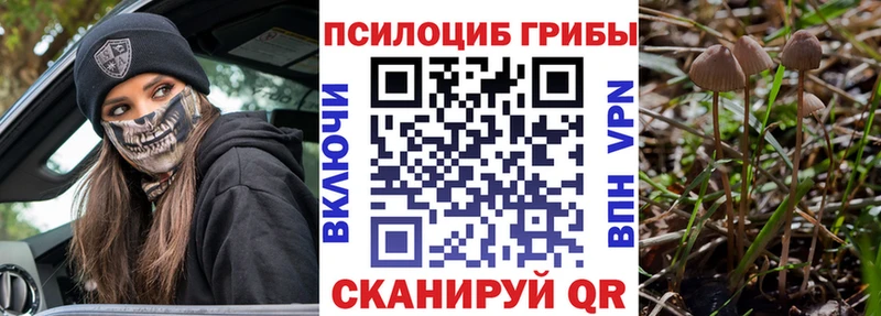 Псилоцибиновые грибы GOLDEN TEACHER Белая Калитва