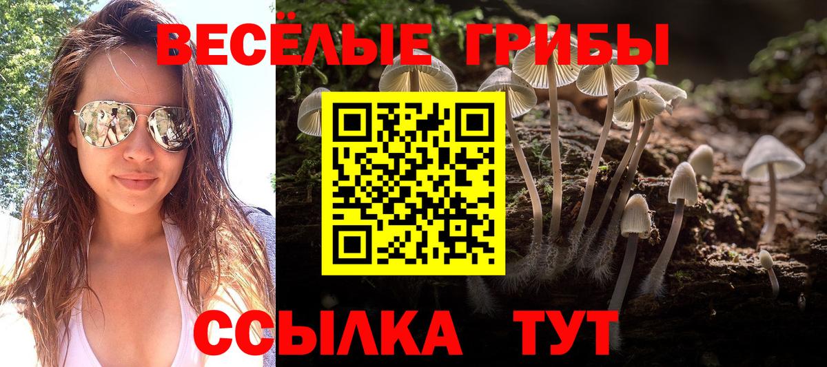 Галлюциногенные грибы GOLDEN TEACHER  Вход с VPN  Псилоцибиновые грибы MAGIC MUSHROOMS  Белая Калитва 